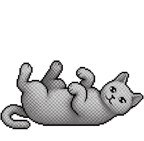 Trusting cat mood